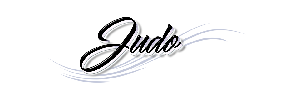 Fête du Judo 2017